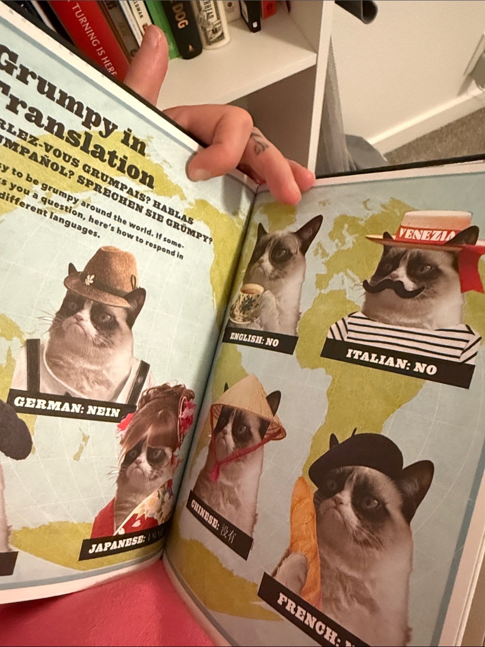 A Grumpy Book — Grumpy Cat - Picture 5 of 5